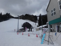 budDSC00390a.JPG