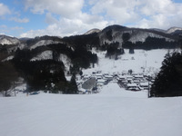 budDSC00395.JPG