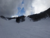 budDSC00407a.JPG